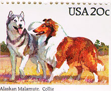 collie stamp